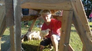 SOPHOMORE COLIN MARTIN is a member of FFA and works with the group's chickens. Photo courtesy of Gale Brickhouse