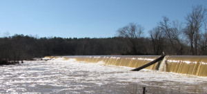 Bynum Beach Canoe Access provides opportunities for canoeing, fishing, and hiking. Katie Robbins/The Omniscient