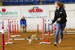 Running the Ring: Sophomore Emma Johnson competes in dog shows