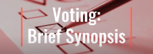 Voting : Brief Synopsis
