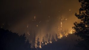 Wildfires in the West