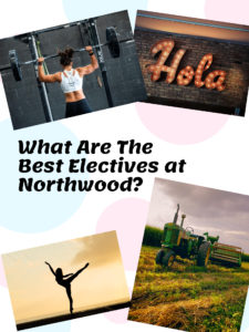 What Are The Best Electives at Northwood?
