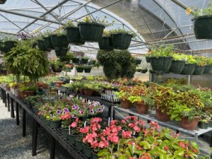 FFA Hosts Plant Sale April 30