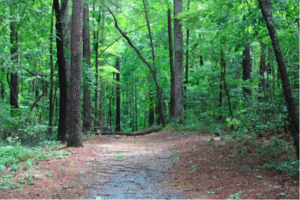 Change is Inevitable: New proposal affects Northwood trails